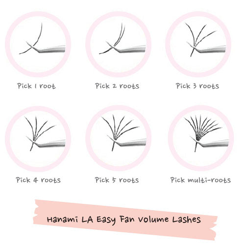 Easy Fan Volume Lashes _ Hanami LA